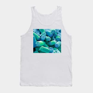 Soil diatoms, SEM, (C054/5526) Tank Top